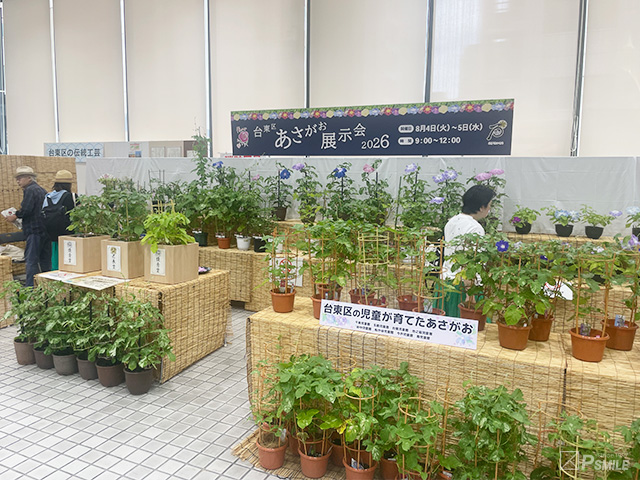 あさがお展示会